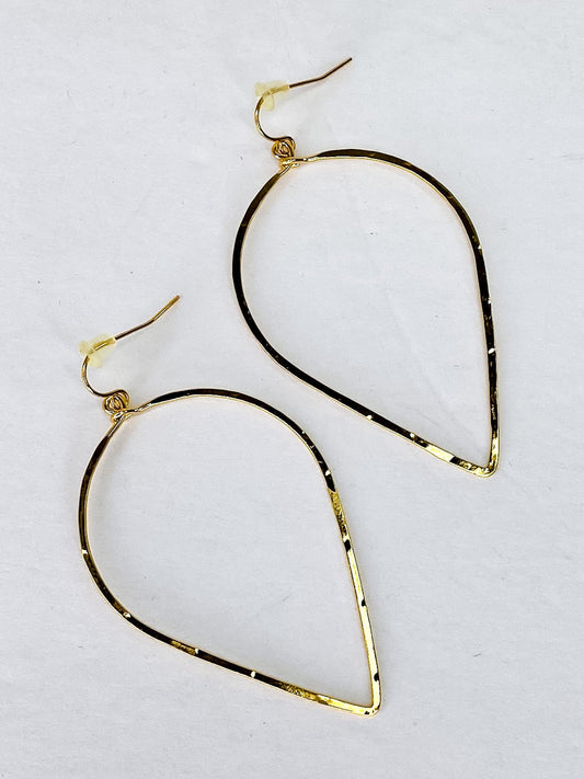 Earrings Inverted Drop Earring