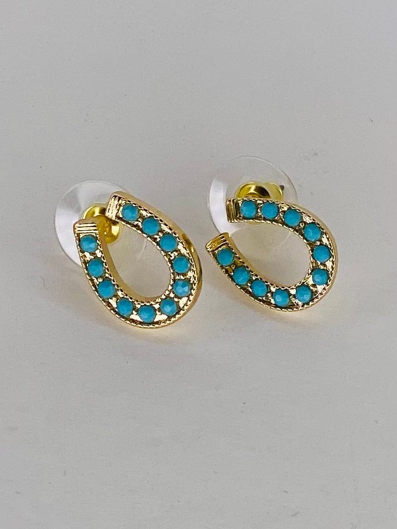 Earrings Lucky Horseshoe Earring